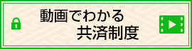 共済制度かる共済制度